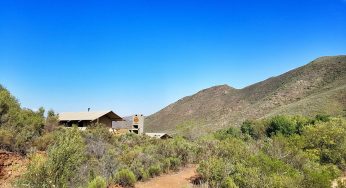 Pourquoi le glamping est-il si populaire ?