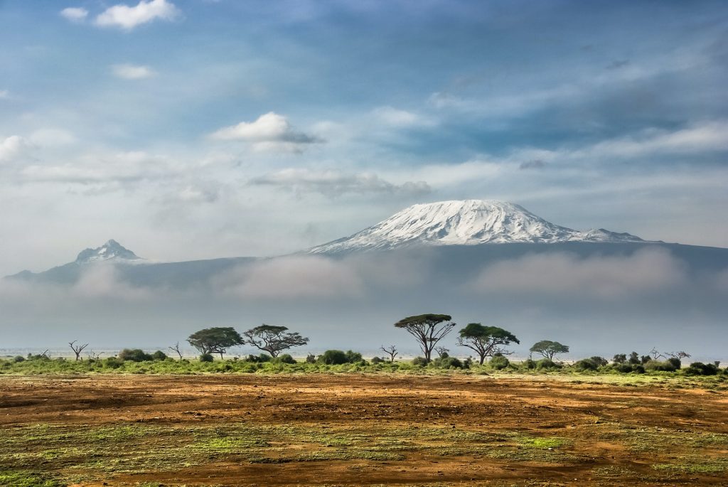 Voyager au Kenya