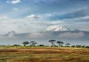 Voyager au Kenya
