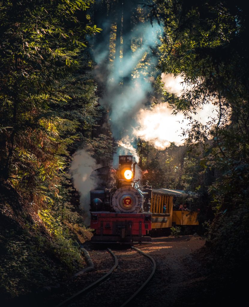 Le train de Pignes