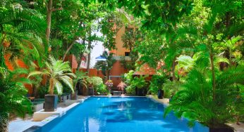 Villas avec piscine en Guadeloupe : détente et confort tropical à louer