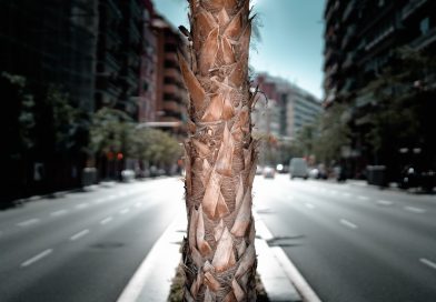 Les meilleures destinations en Espagne