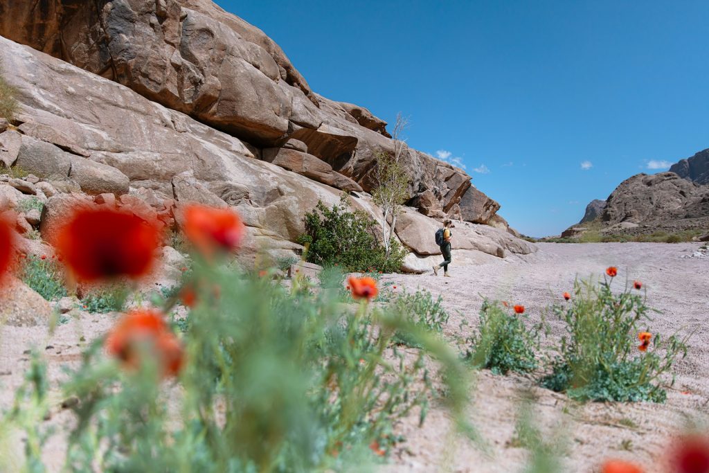 Une destination nature en France