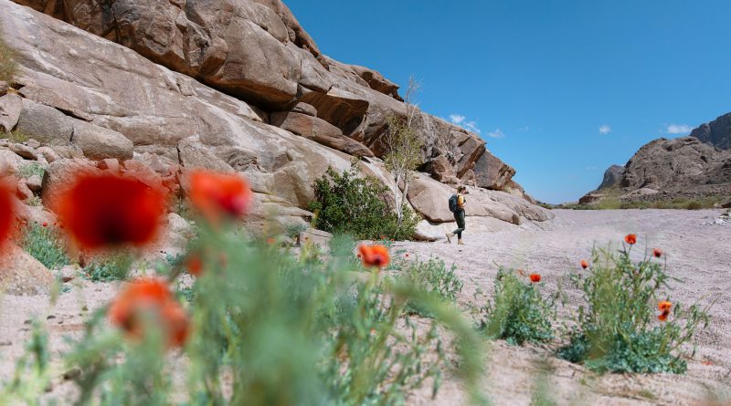 Une destination nature en France