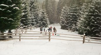 Les destinations prisées des Français pour leurs prochaines vacances d’hiver