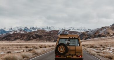 brown vehicle on road under white sky